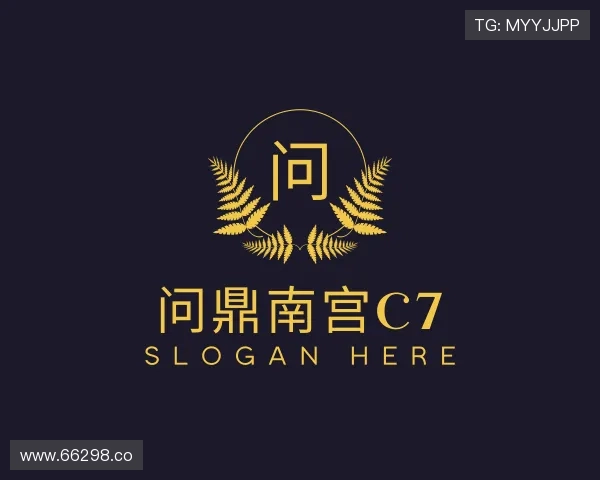 深入问鼎南宫c7